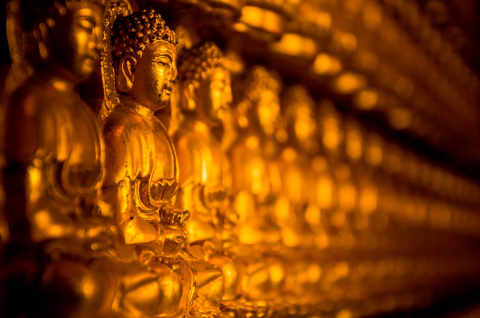 The gold color on the application of Buddha and Renovation of ancient buildings